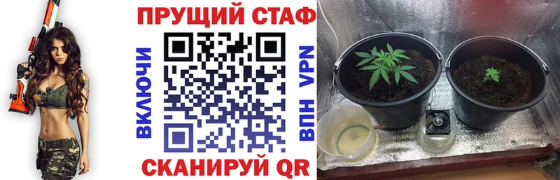 Где купить наркоту Кашин Амфетамин  Меф мяу мяу  КОКАИН 