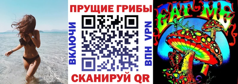 купить наркоту  Кашин  Галлюциногенные грибы мицелий 
